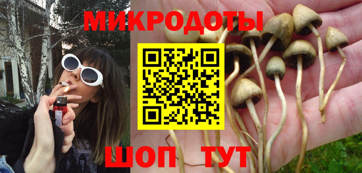 где купить наркоту  Псилоцибиновые грибы Cubensis  Вход с VPN  Балтийск 